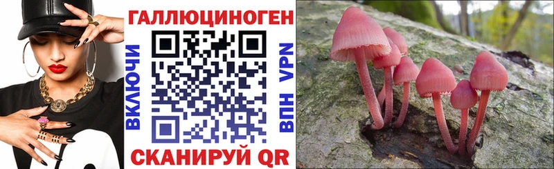 Галлюциногенные грибы мицелий  Абаза 